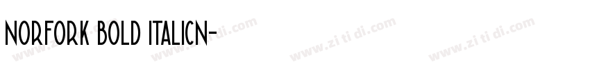 norfork bold italicn字体转换